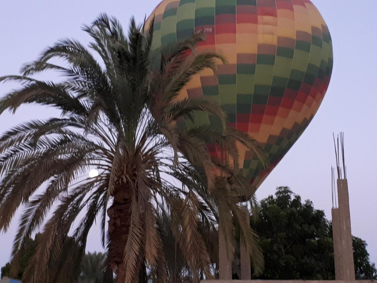 Sunflower Guest House Luxor West Bank Dış mekan fotoğraf