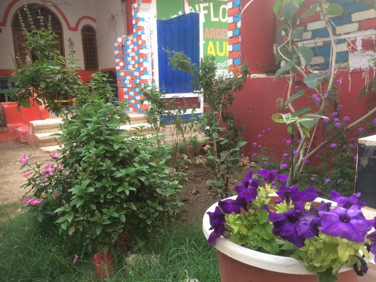 Sunflower Guest House Luxor West Bank Dış mekan fotoğraf