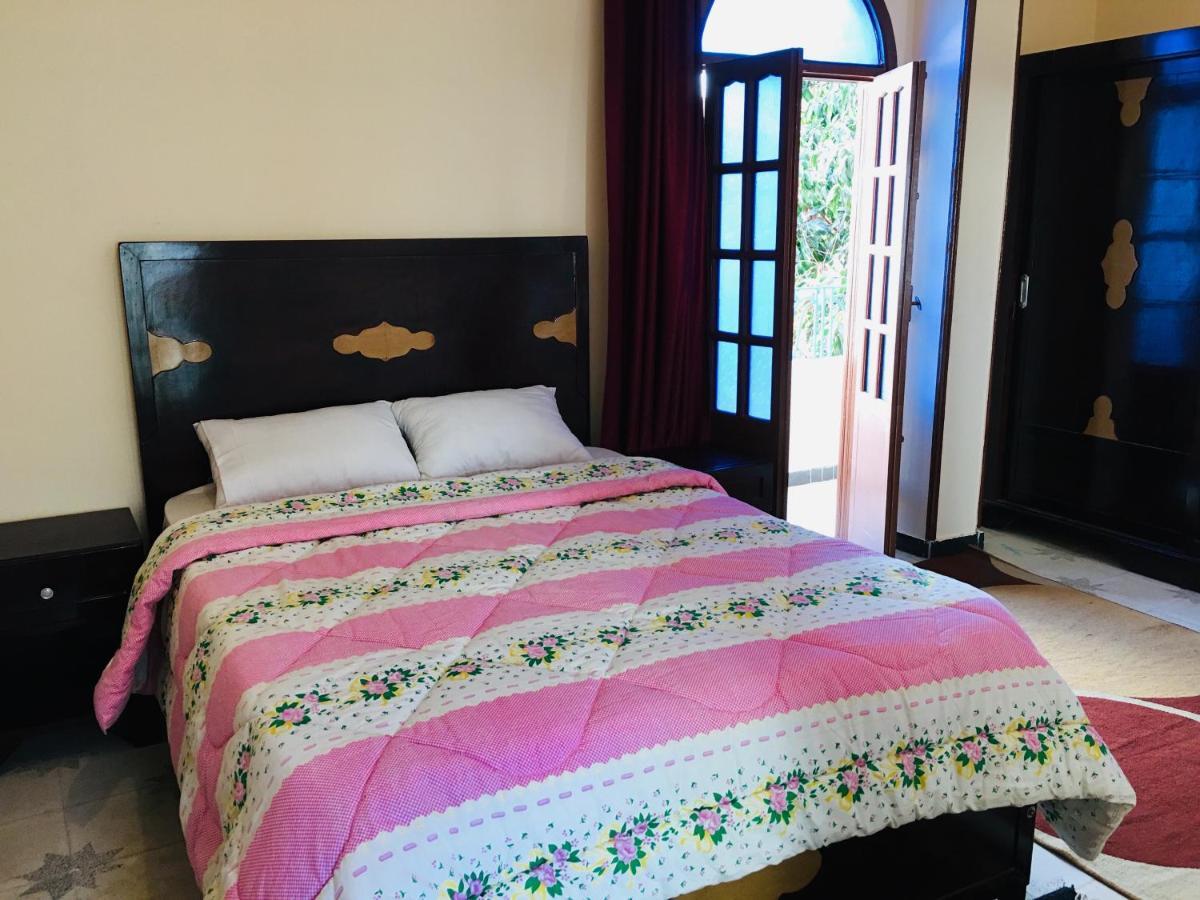 Sunflower Guest House Luxor West Bank Dış mekan fotoğraf