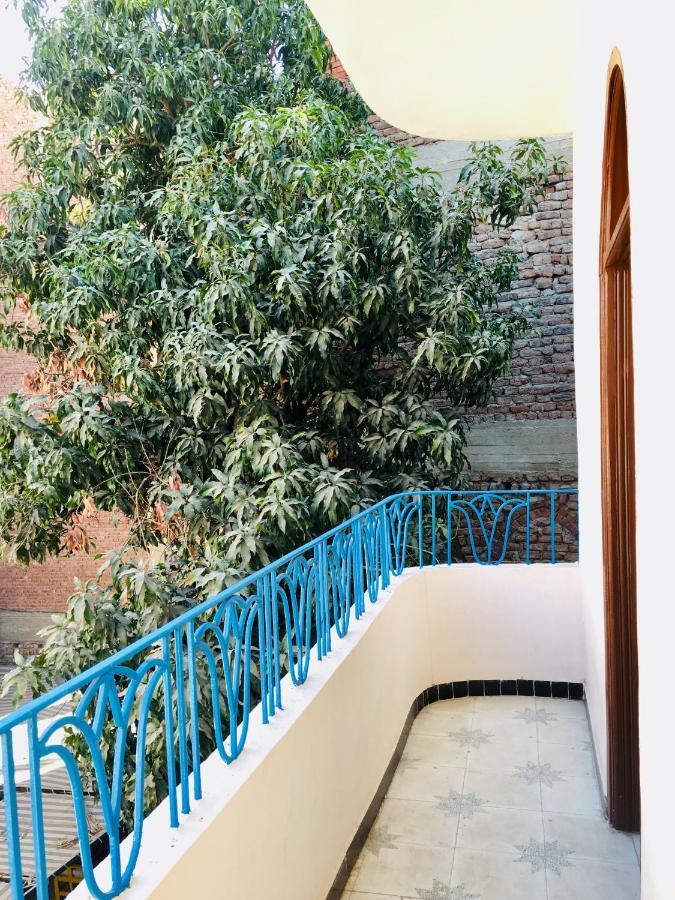 Sunflower Guest House Luxor West Bank Dış mekan fotoğraf
